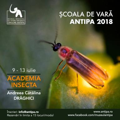 poze academia insecta