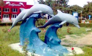 poze all inclusive la delfinariul din constanta