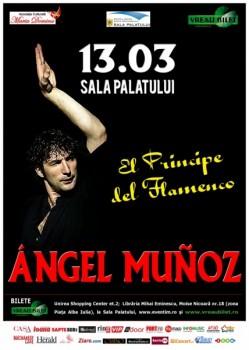 poze angel mu oz la sala palatului