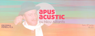 poze apus acustic 04 nicu alifantis