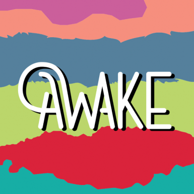 poze awake festival 2018