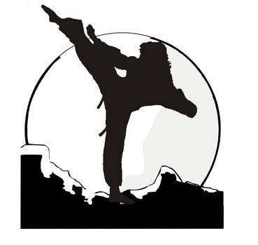 poze campionatul national la taekwon do
