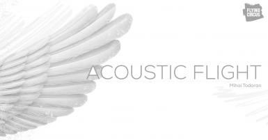 poze concert acoustic flight w mihai todoran