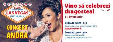 poze concert andra de valentine s day shopping city sibiu