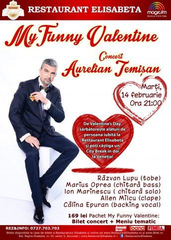 poze concert aurelian temisan de valentine s day la bucuresti