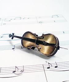 poze concert cu costin szabo eva 