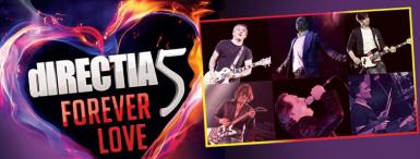 poze concert directia 5 crown pub oradea