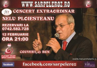 poze concert extraordinar nelu ploiesteanu 
