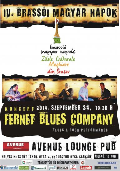 poze concert fernet blues company