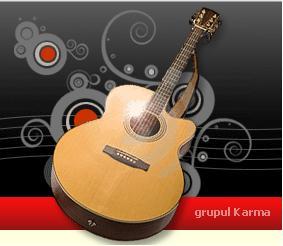poze concert karma