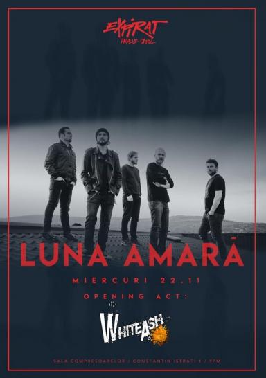 poze concert luna amara