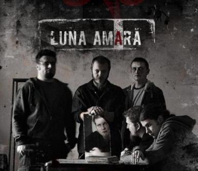 poze concert luna amara