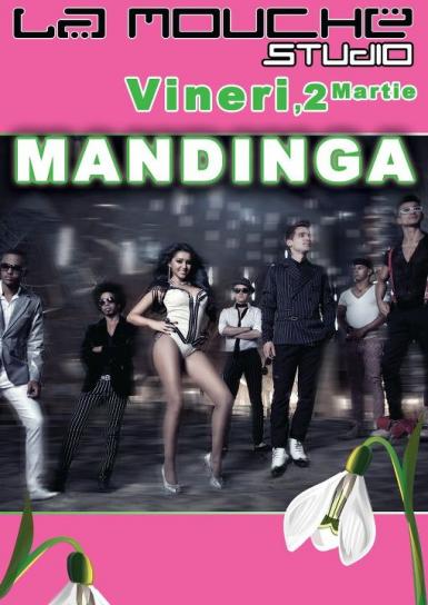 poze concert mandinga la arad