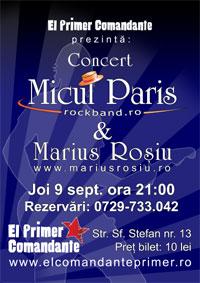 poze concert micul paris
