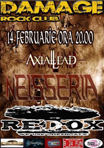 poze concert neisseria in club damage