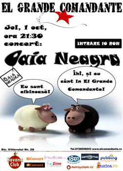 poze concert oaia neagra