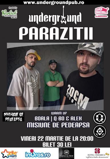 poze concert parazitii in underground pub