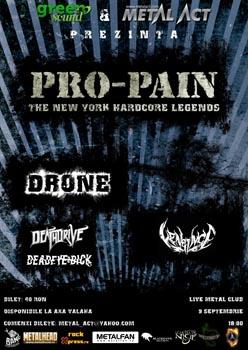 poze concert pro pain