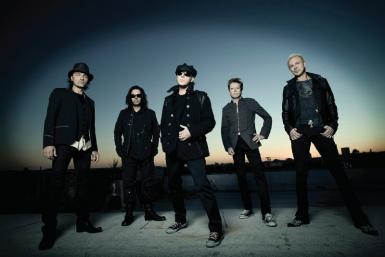 poze concert scorpions si smokie la cluj