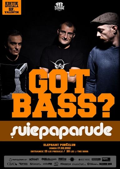 poze concert suie paparude in club elephant