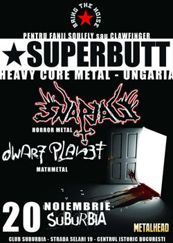 poze concert superbutt