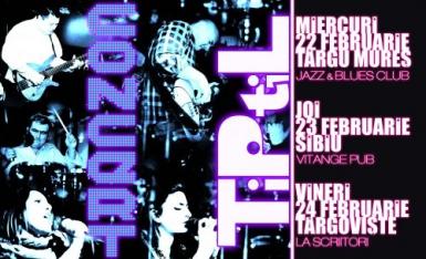 poze concert tiptil la targoviste