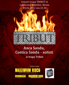 poze concert tribut la buzau