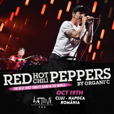 poze concert tribut red hot chili peppers