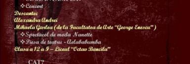poze concert umanitar la teatrul luceafarul