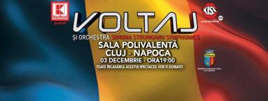 poze concert voltaj