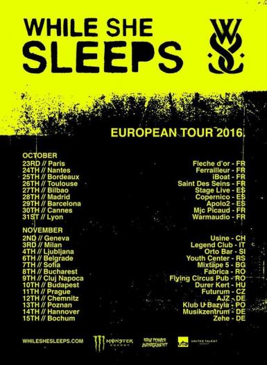 poze concert while she sleeps la flying circus club