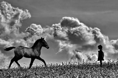 poze concurs de arta fotografica de ziua europei
