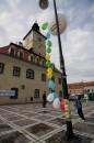 poze concursul local de proiecte de tineret