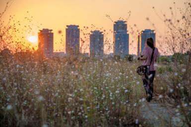 poze curs de fotografie urbana pentru incepatori