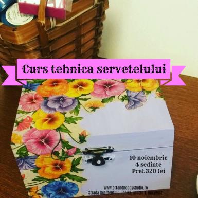 poze curs tehnica servetelului