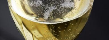 poze degustare vin spumant i love cava