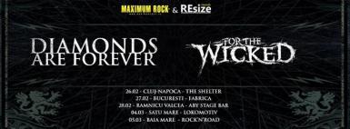 poze diamonds are forever for the wicked the shelter