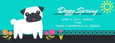 poze doggy spring gekko pub