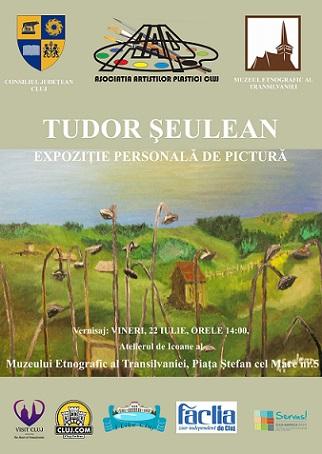 poze expozitie personala de pictura tudor seulean