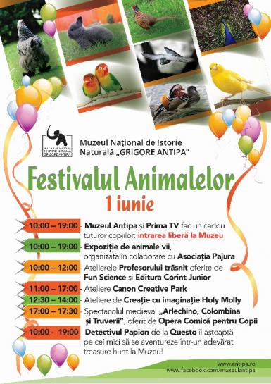 poze festivalul animalelor