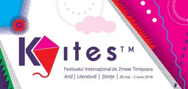 poze festivalul international de zmeie timisoara