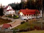 poze festivalul toamnei