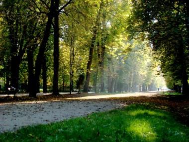 poze gradinita in aer liber in parcul central cluj