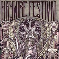 poze haywire festival 2016