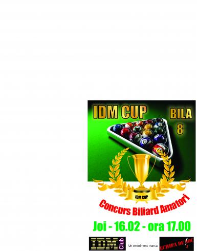 poze idm cup concurs biliard