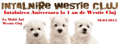 poze intalnirea aniversara la 1 an de westie cluj