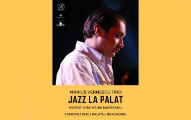 poze jazz la palat marius vernescu trio