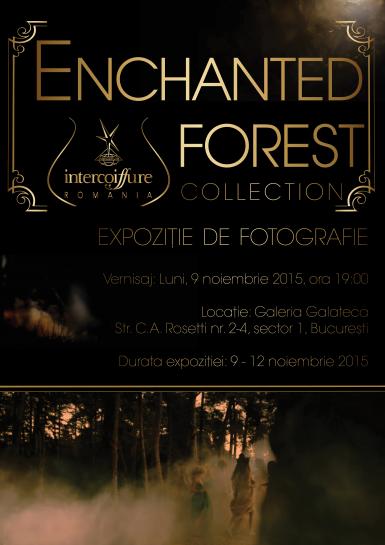 poze lansare enchanted forest 