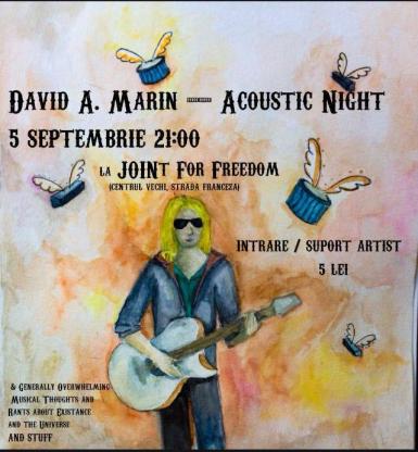 poze live acoustic night cu david a marin