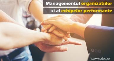 poze managementul organizatiilor si al echipelor performante descope